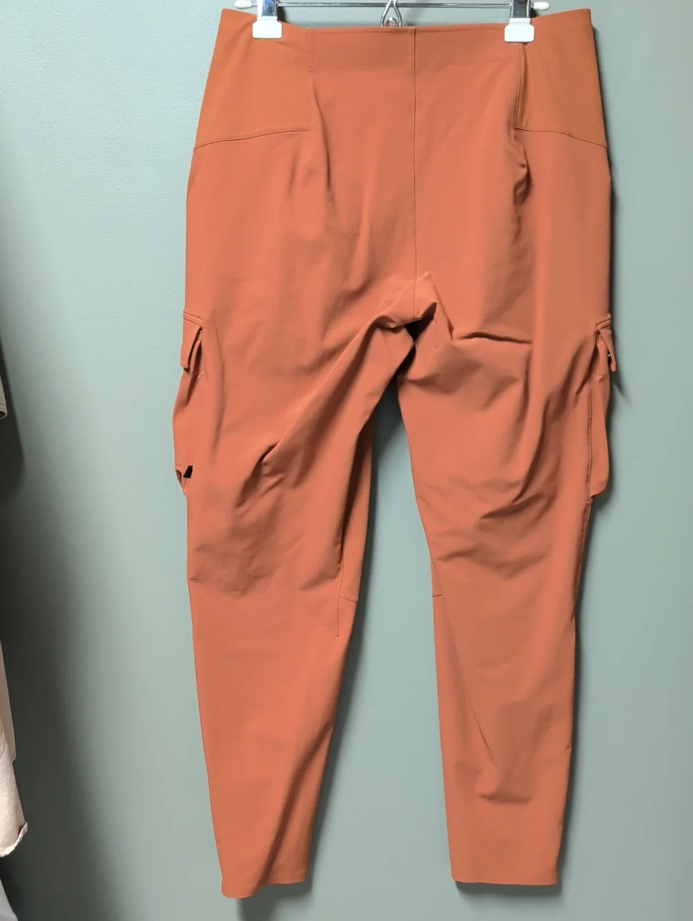 Lululemon Lab Woments pants, Size 10, Rust
